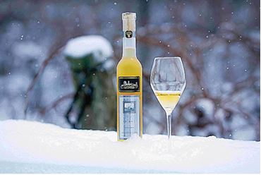 Picture for category Icewine & Dessert Wine